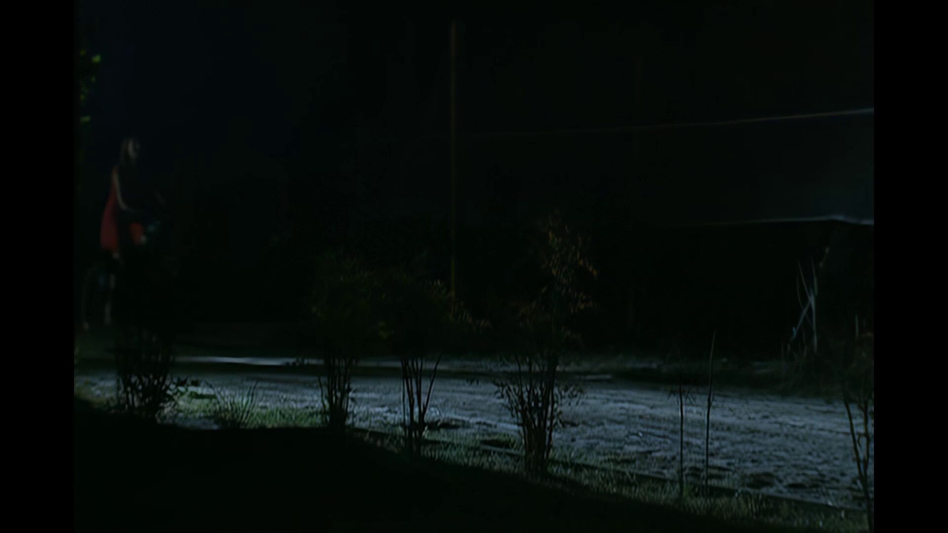 Blog image 2
